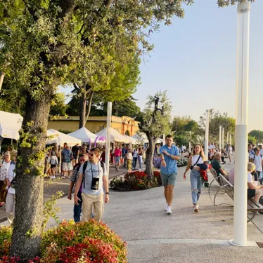 gestione sicurezza alla festa dell'uva e del vino di Bardolino